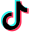TikTok Icon